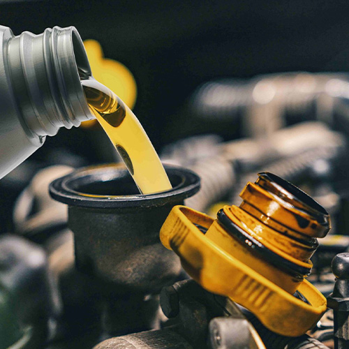 A car receiving an oil change in Safety Harbor, FL