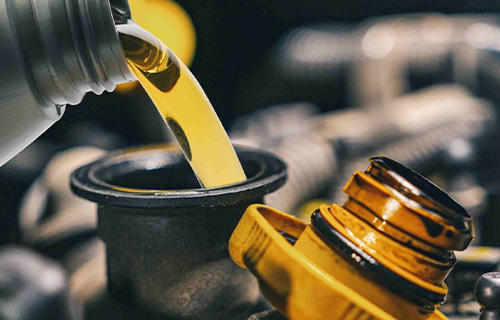 Oil change services at a shop for auto repair in Safety Harbor